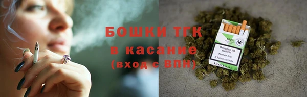 гашик Осинники