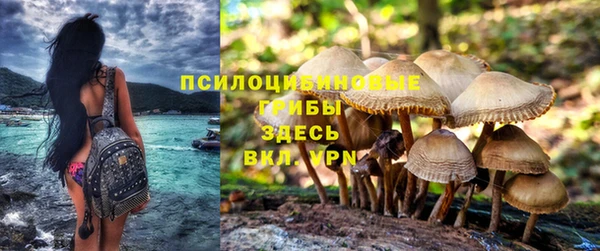 гашик Алзамай