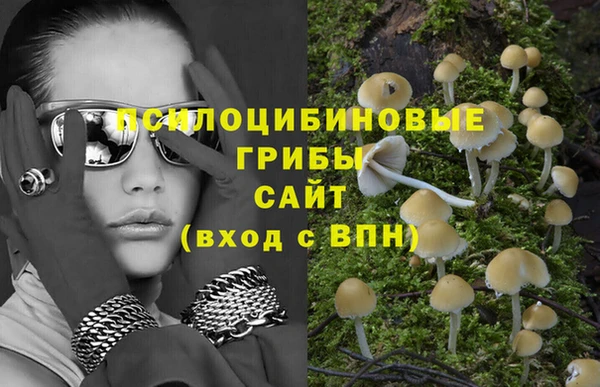 хмурый Абаза